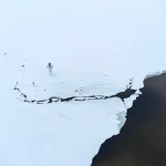 Geleceğin Doğası – Yeni Neslin Yaşam Rehberi ve Adaptasyon Stratejileri