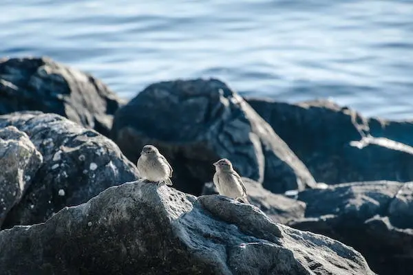 İlk Müşterinizi Bulun – Freelance Kariyerinize Sağlam Bir Başlangıç Yapın