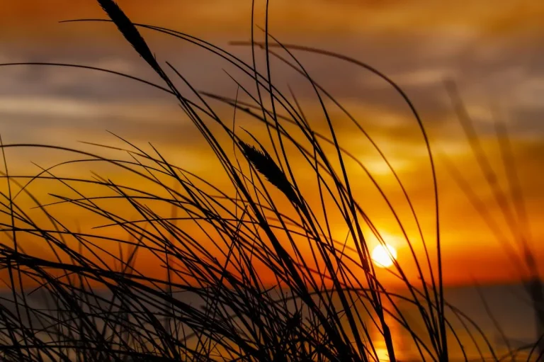 2026 Vizyonu ile Yeni Nesil İçin Doğa – Sürdürülebilir Bir Yaşam Geleceği İnşa Ediliyor